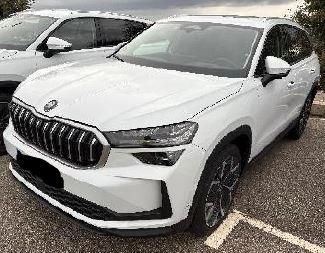 Skoda Kodiaq 2.238 km 45.880 &euro; Rüsselsheim 65428