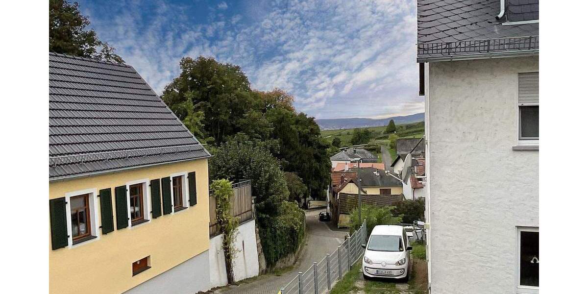 Mehrfamilienhaus, Wohnhaus Geisenheim Johannisberg - 1 Zimmer, 377 m&sup2;, 649.000&euro; | Angebot:25687264