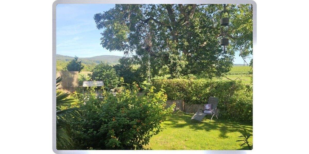 * Oestrich-Winkel: Freistehendes Einfamilienhaus in direkter Feldrandlage * 6 zimmer