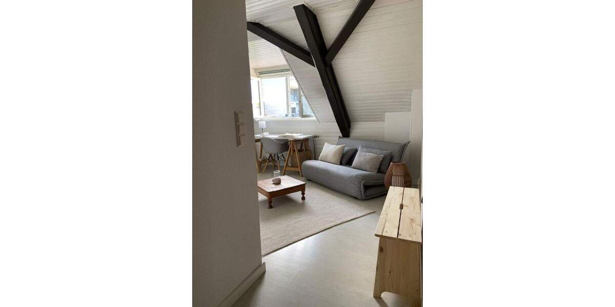 Apartment in der Mainzer Neustadt 1 zimmer