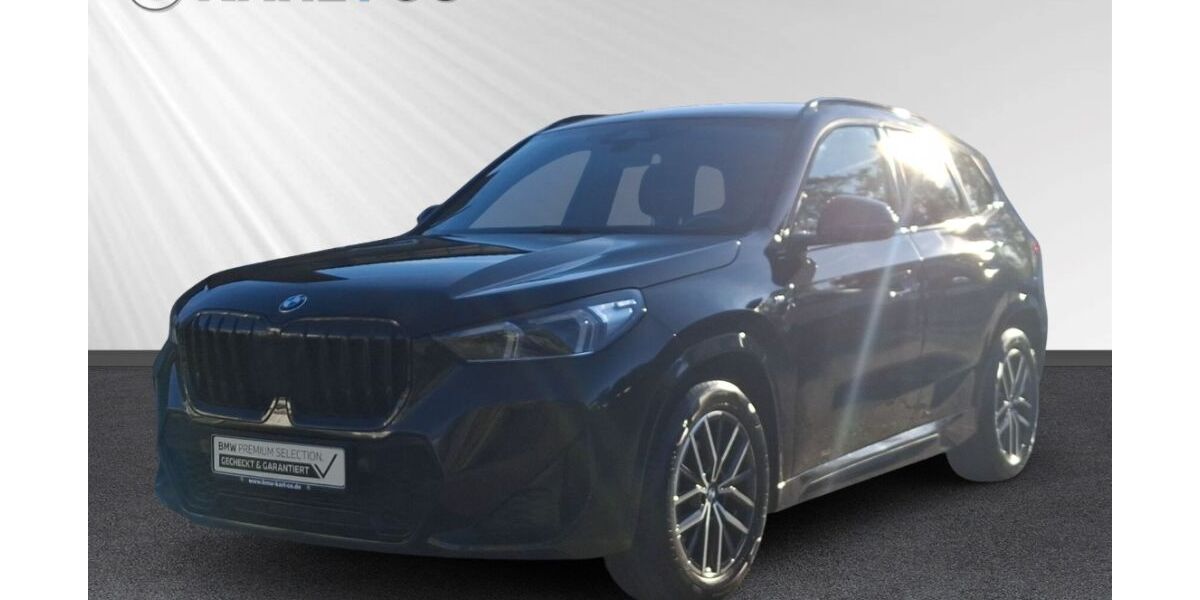 BMW X1 109.226 km 31.798 &euro; Wiesbaden 65203