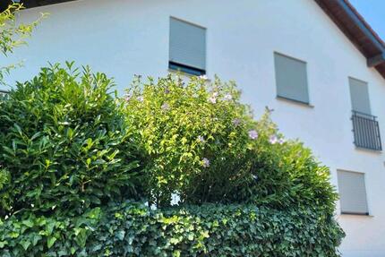 Haus Bad Soden am Taunus - 5 Zimmer, 121 m&sup2;, 740.000&euro; | Angebot:27452991