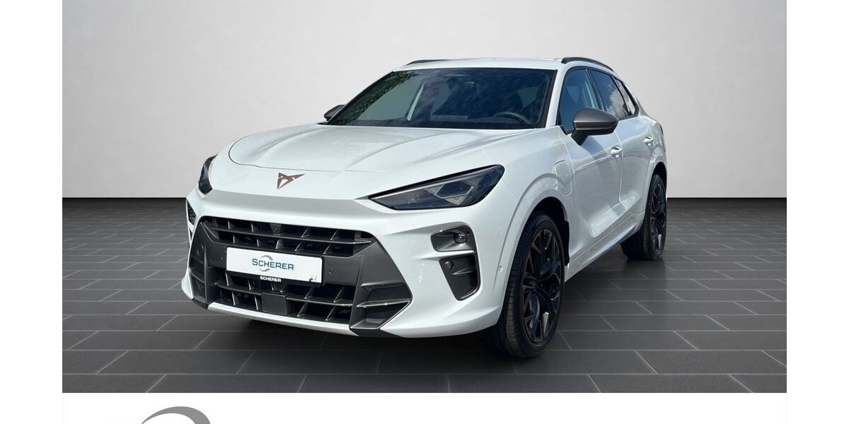 Cupra Terramar 2.100 km 46.500 € Mainz 55129