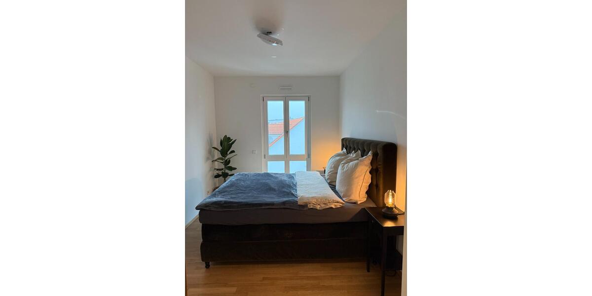 Fully Furnished Premium Apartment with Direct Rhine River Access 3 zimmer