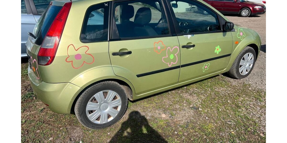 Ford Fiesta 176.000 km 1.200 &euro; Mainz 55116