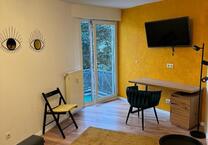 Schönes möbliertes Apartment mit Balkon in der Innenstadt von Wiesbaden zu vermieten