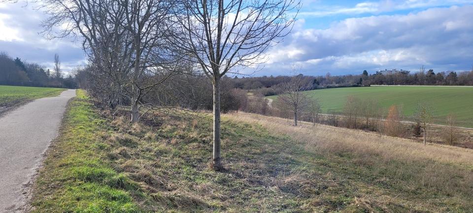 Erdgeschoßwohnung Mainz Ebersheim - 2 Zimmer, 66 m&sup2;, 245.000&euro; | Angebot:25532584