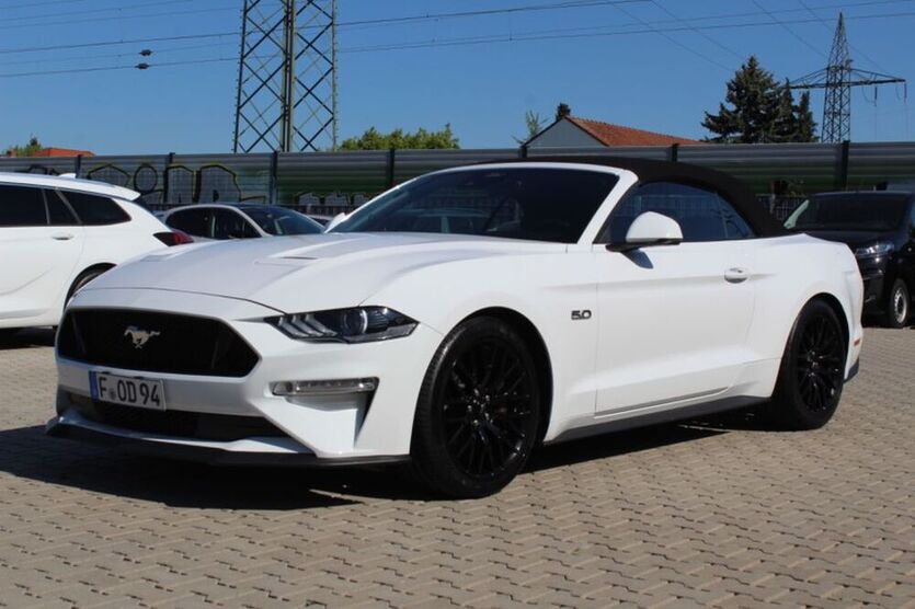 Mustang