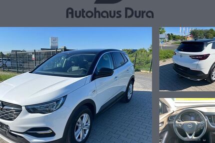 Opel Grandland (X) 113.500 km 17.900 &euro; Rüsselsheim 65428