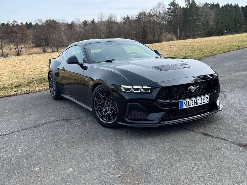 Mustang
