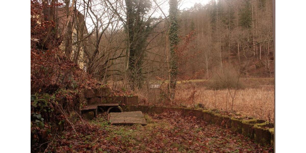 Naturnahe 2-Zimmer Wohnung in Bad Schwalbach 2 zimmer