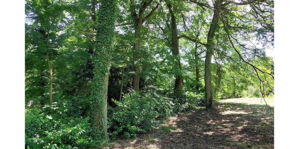 Grundstück Hofheim am Taunus - Langenhain Langenhain - 695.000&euro; | Angebot:26866307
