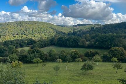 Wohnung Bad Schwalbach - 4 Zimmer, 115 m&sup2;, 279.000&euro; | Angebot:25204785