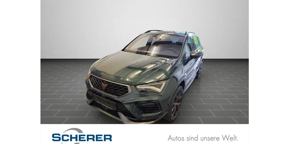 Cupra Ateca 91.459 km 31.980 &euro; Mainz 55129