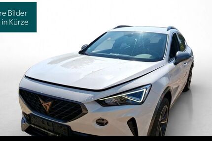 Cupra Formentor 43.976 km 20.440 &euro; Hofheim-Diedenbergen 65719