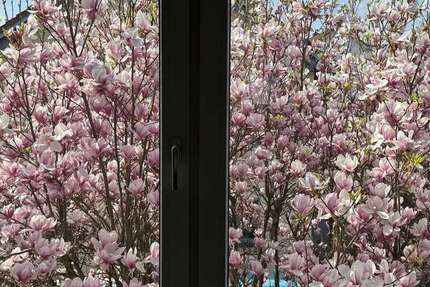 Wohnung zum Mieten in Wiesbaden 1.701 € 126 m² 5 zimmer