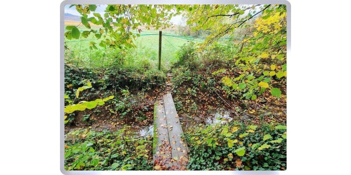 * Oestrich-Winkel: Freistehendes Einfamilienhaus in direkter Feldrandlage * 6 zimmer