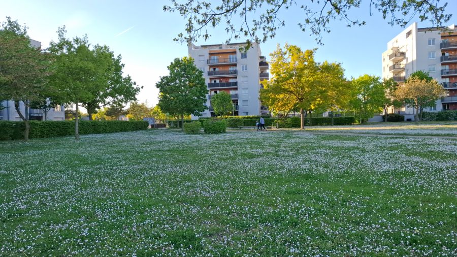 Provisionsfrei* Schöne, neuwertige Wohnung in Mainz-Gonsenheim - 3- Mainz Gonsenheim | Angebot:26292776