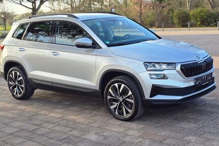 Skoda Karoq 100.000 km 21.900 &euro; Büttelborn 64572