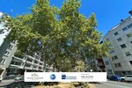 Gepflegte Bürofläche mit ca. 180m², sofort bezugsfrei, Nähe RheinChristuskirche - - Gewerbeobjekt Mainz | Angebot:26704163