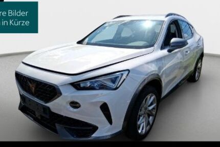 Cupra Formentor 55.652 km 22.890 &euro; Hofheim-Diedenbergen 65719
