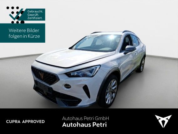 Cupra Formentor 55.652 km 22.890 &euro; Hofheim-Diedenbergen 65719
