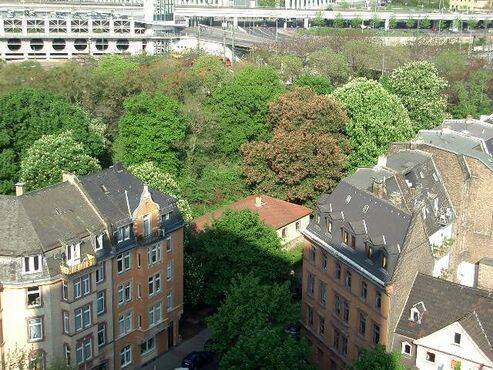 Ein-Zimmer-Wohnung in der Altstadt von Mainz zu verkaufen. 1 zimmer