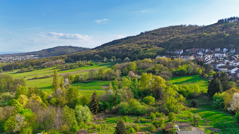 Mehrfamilienhaus mit Bauplatz in Ruppertshain - Mehrfamilienhaus, Wohnhaus Kelkheim | Angebot:23618439