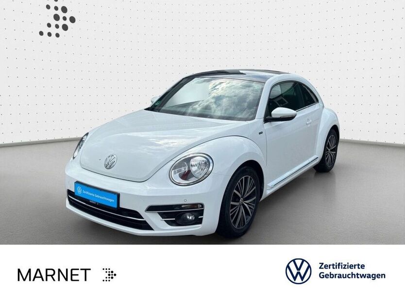 Beetle