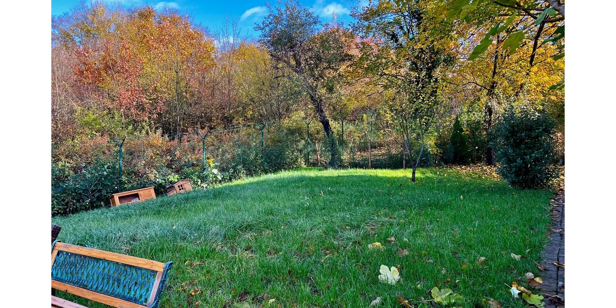 Gartenparadies in der Stadt – charmantes Haus in Wiesbaden - Reihenendhaus Wiesbaden Südost | Angebot:26177084