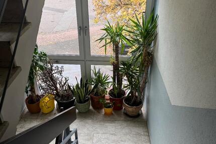 Schönes 1ZKB-Souterrain-Appartement in MZ Bretzenheim Uninähe 1 zimmer