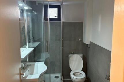 ERSTBEZUG NACH SANIERUNG: Traumhafte 3-Zimmer-Wohnung in Ginsheim 3 zimmer