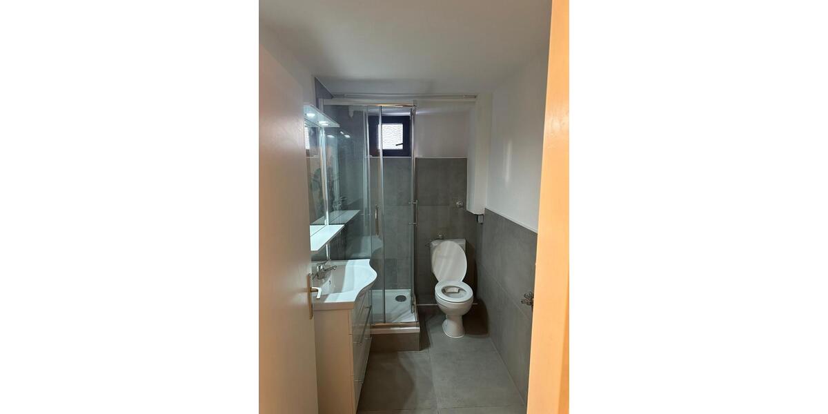 ERSTBEZUG NACH SANIERUNG: Traumhafte 3-Zimmer-Wohnung in Ginsheim 3 zimmer