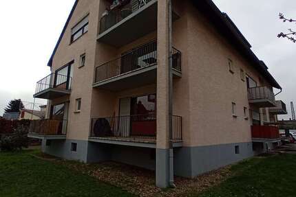 Wohnung zum Mieten in Kelsterbach 500 € 30.3 m²