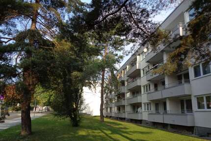 Wohnung zum Mieten in Wiesbaden 680 € 62.2 m² 2 zimmer