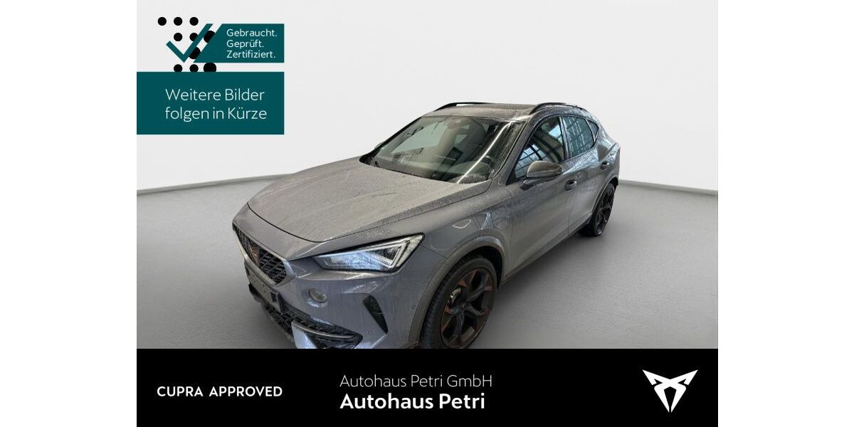 Cupra Formentor 57.054 km 27.230 &euro; Hofheim-Diedenbergen 65719