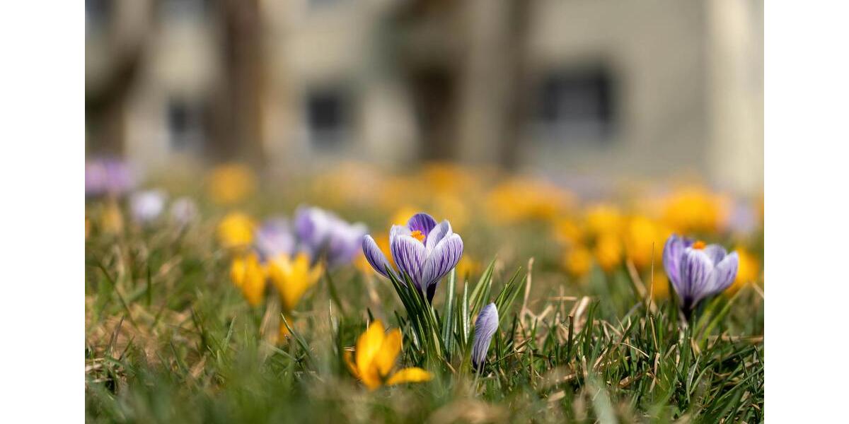 3-Zimmerwohnung im Schelmengraben 3 zimmer