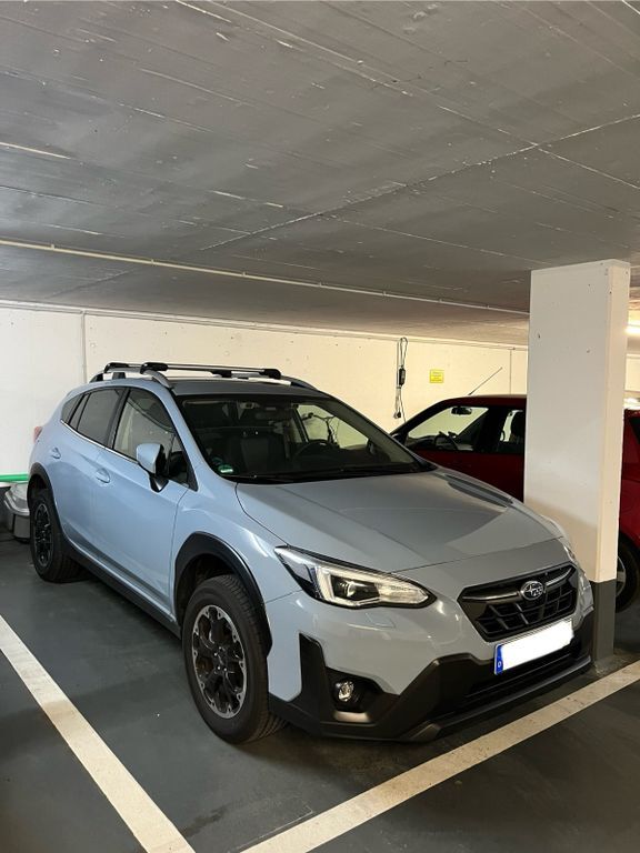 XV
