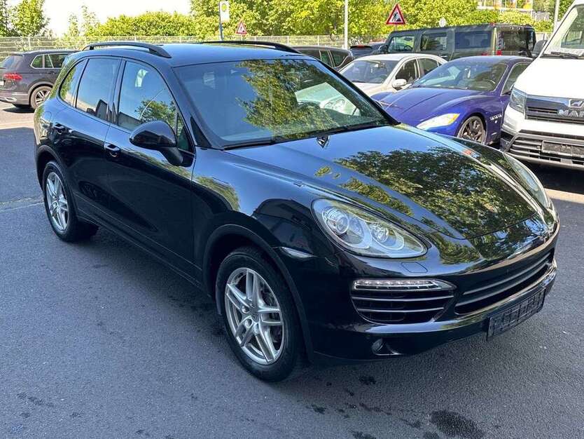 Cayenne