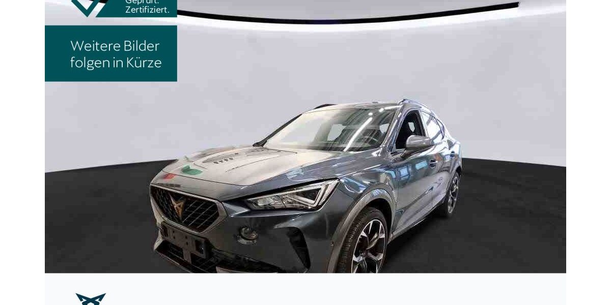 Cupra Formentor 50.095 km 25.990 &euro; Hofheim-Diedenbergen 65719