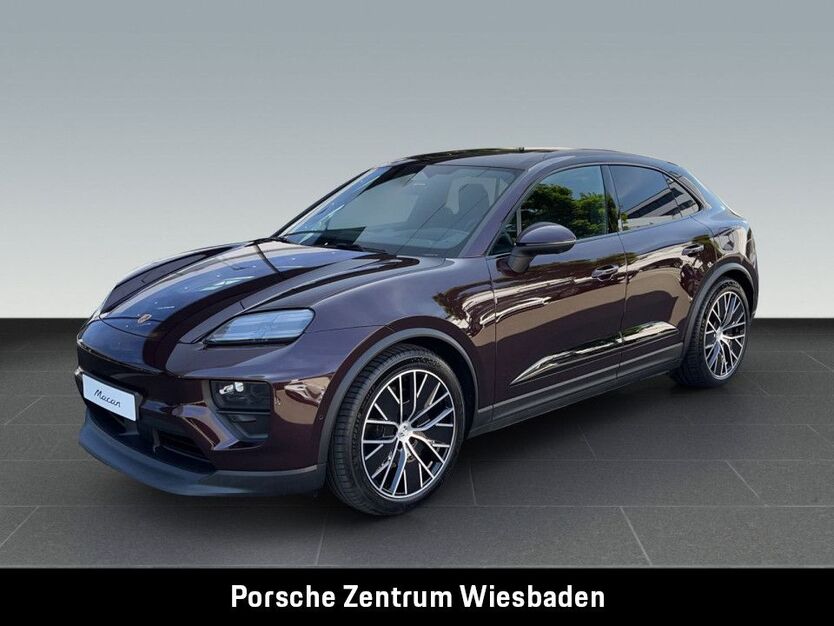 Macan