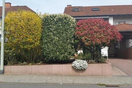Haus Hofheim am Taunus - 749.000&euro; | Angebot:27123269