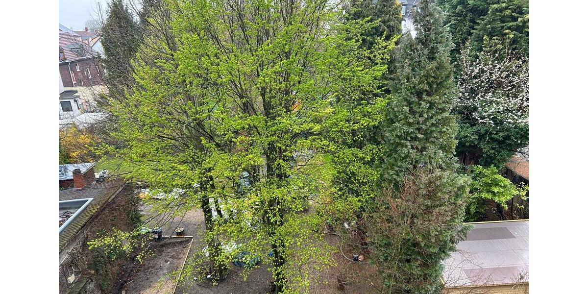 Etagenwohnung Mainz Neustadt - 1.5 Zimmer, 40 m&sup2;, 680&euro; | Angebot:26455591