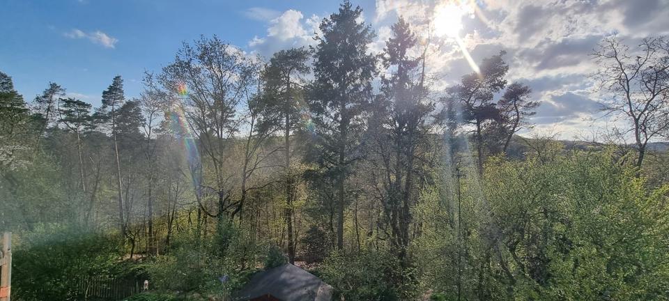 4-Zi-Wohnung direkt am Wald (Zwischenmiete 5-12 Monate) 4 zimmer