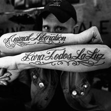 Los Fastidios & Zoo Escape 17.07.2026 Kulturzentrum Schlachthof e.V.