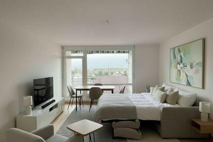 Wohnung Rüsselsheim am Main - 1 Zimmer, 39 m&sup2;, 145.000&euro; | Angebot:26133722