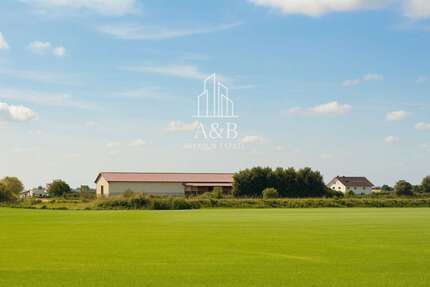 Haus zum Kaufen in Ginsheim-Gustavsburg Gustavsburg 2.490.000 € 225 m² 12.5 zimmer