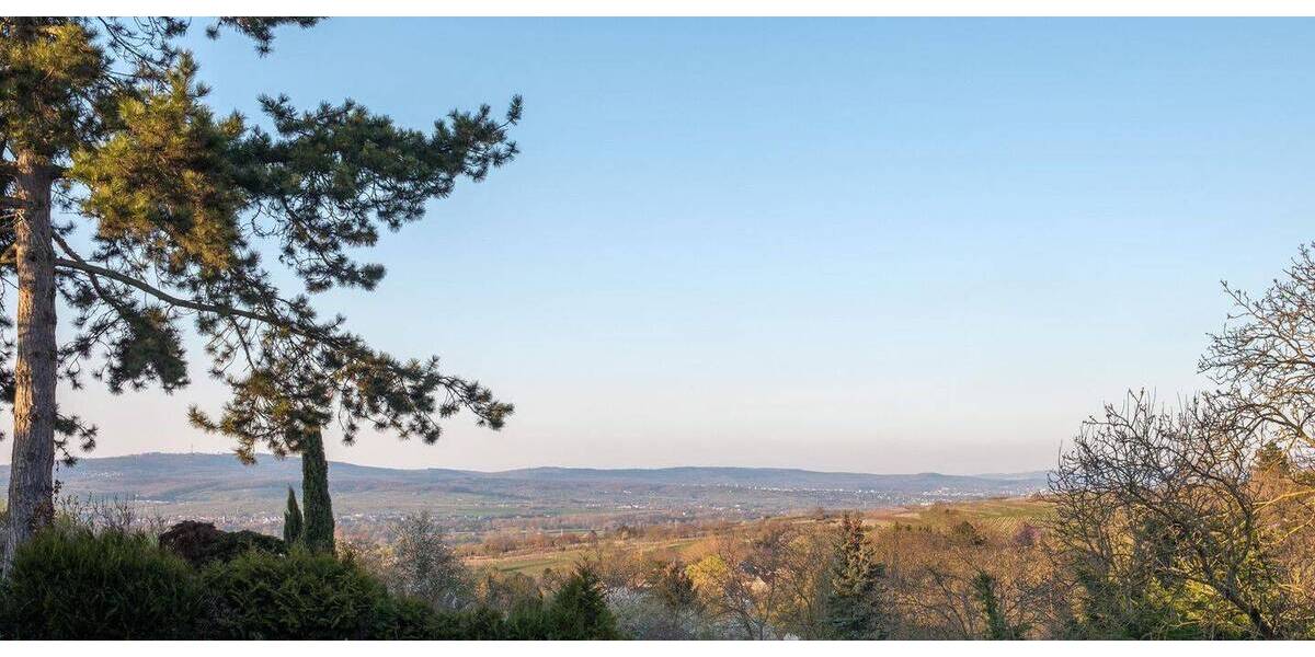 Einfamilienhaus Ingelheim Wackernheim - 7 Zimmer, 228 m&sup2;, 925.000&euro; | Angebot:26044468