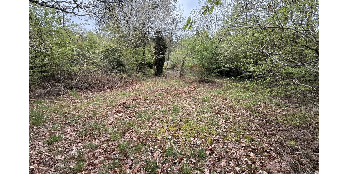 Kelkheim: Hier erfüllen Sie Ihren Traum! Idyllisches Grundstück im Wochenendgebiet - Grundstück Kelkheim | Angebot:26134206