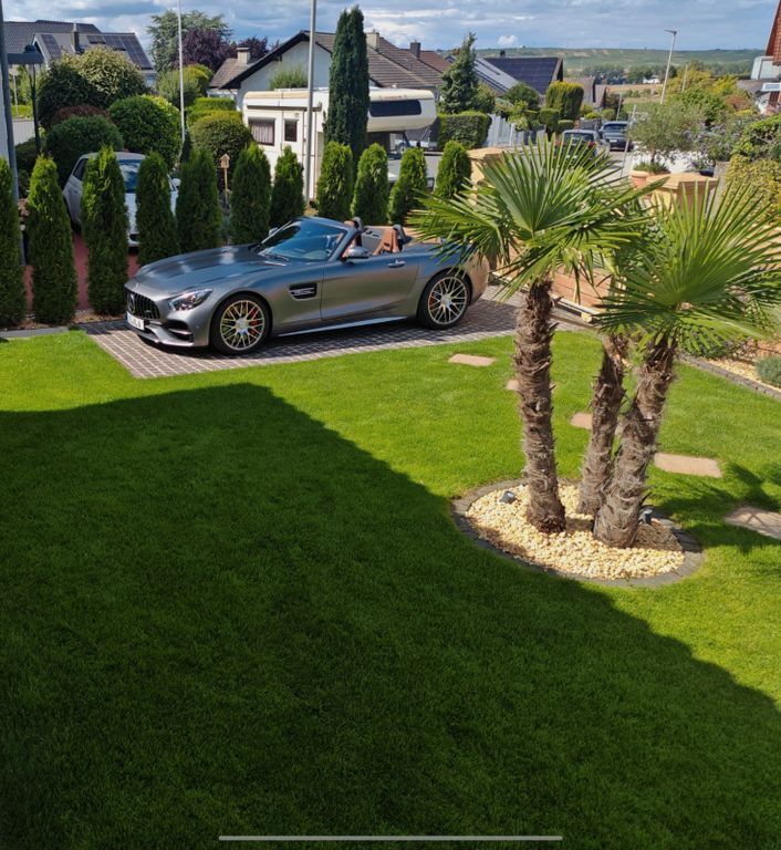 AMG GT C
